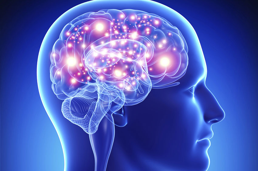 Neurofilósofo mostra como ‘alimentar’ o cérebro para aprender e produzir mais