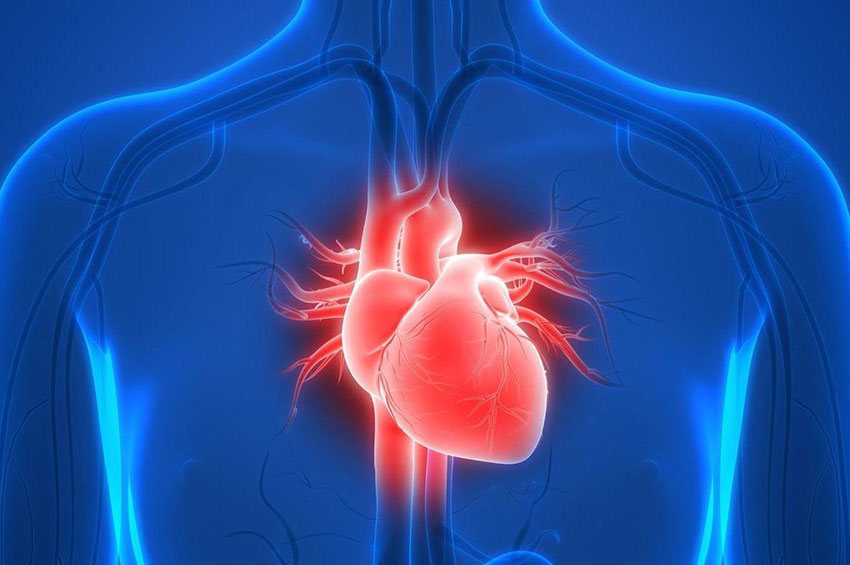 Coronavírus e cardiopatias: por que a infecção prejudica o coração?