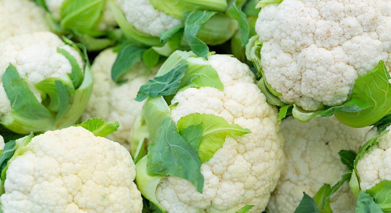 Dicas para manter uma alimentação saudável durante temperaturas mais frias 