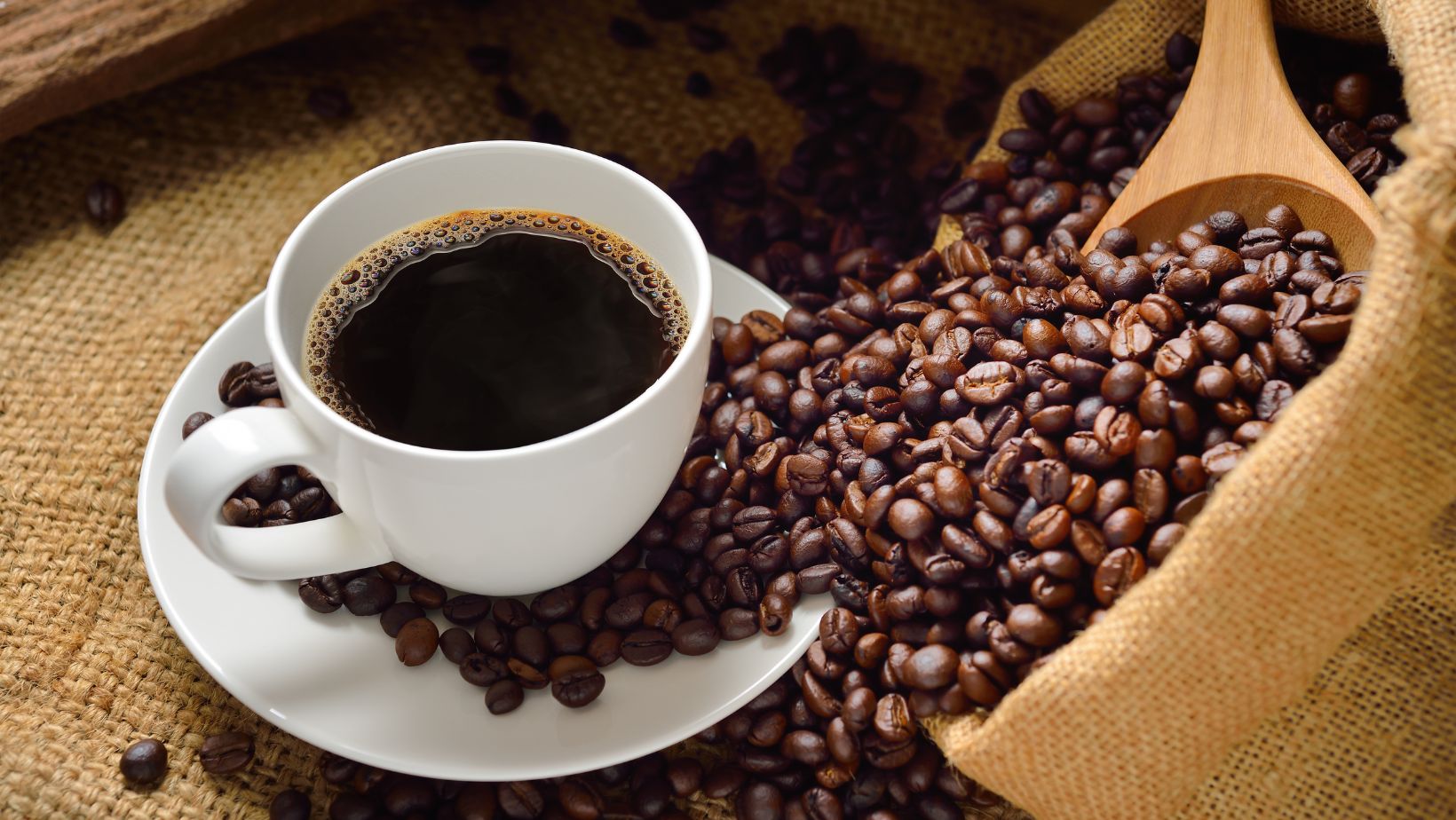 Café: será que o queridinho dos brasileiros é prejudicial à saúde?
