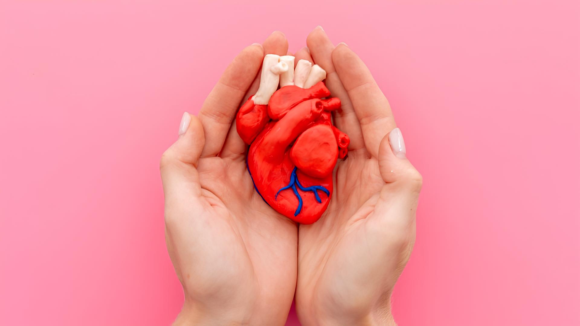 Dia do Cardiologista: seu coração pode estar pedindo socorro, e você nem percebeu