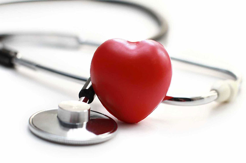 14 de agosto: Dia Nacional do Cardiologista