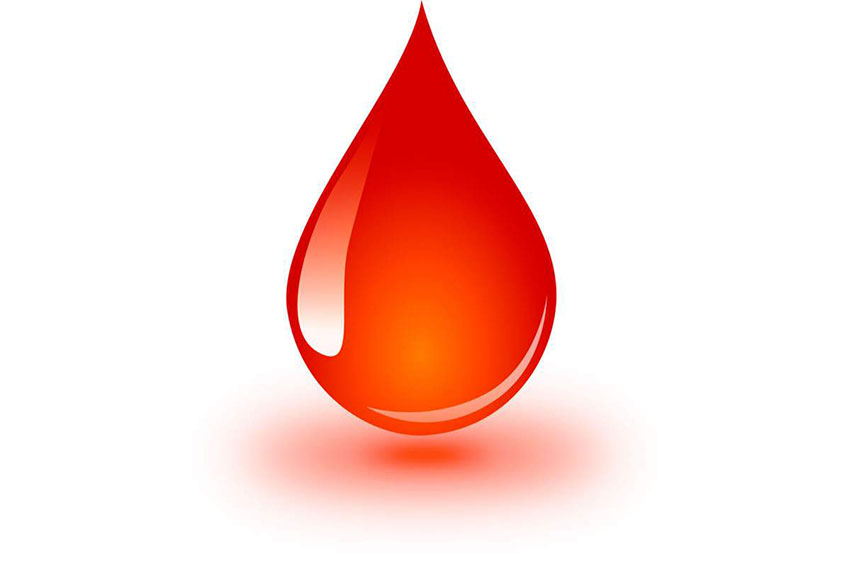 Quais alimentos devo comer antes da doação de sangue?