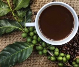 Os benefícios do café verde para a saúde