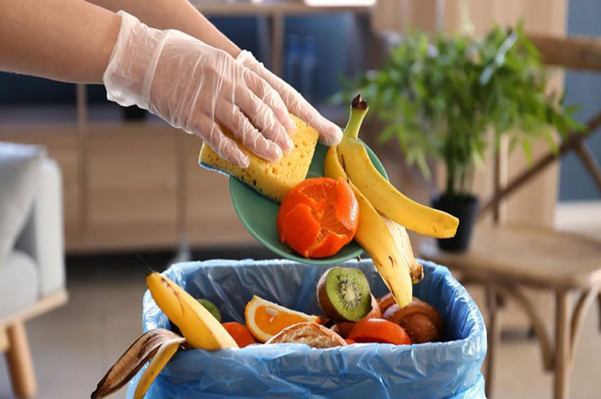 Cinco maneiras de evitar o desperdício de alimentos e ajudar o planeta