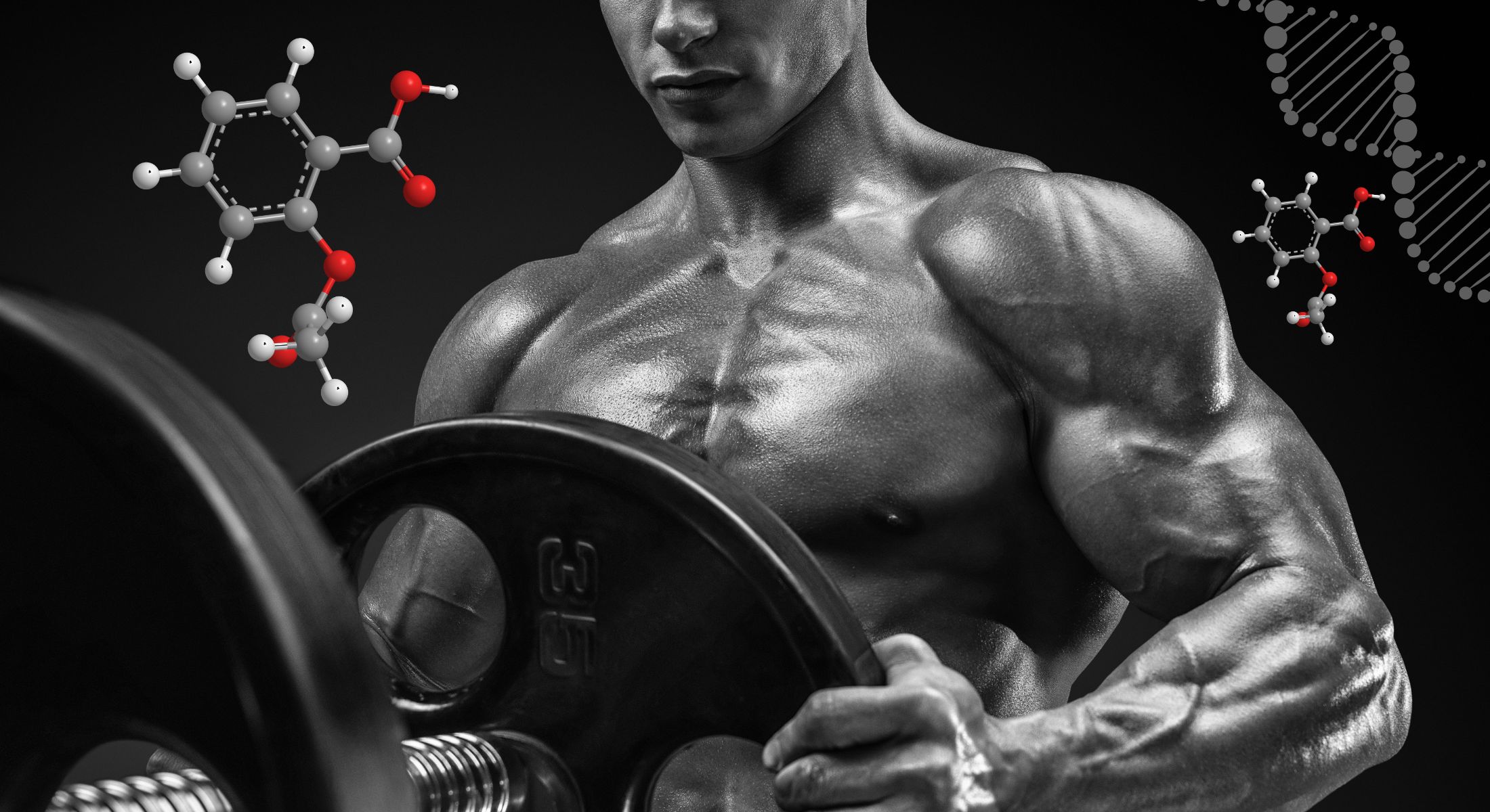 Artigo - Plasticidade metabólica fisiológica: aspectos endocrinológicos do treinamento resistido de musculação em medicina do esporte