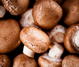 Conheça seis alimentos que aumentam a imunidade do organismo 