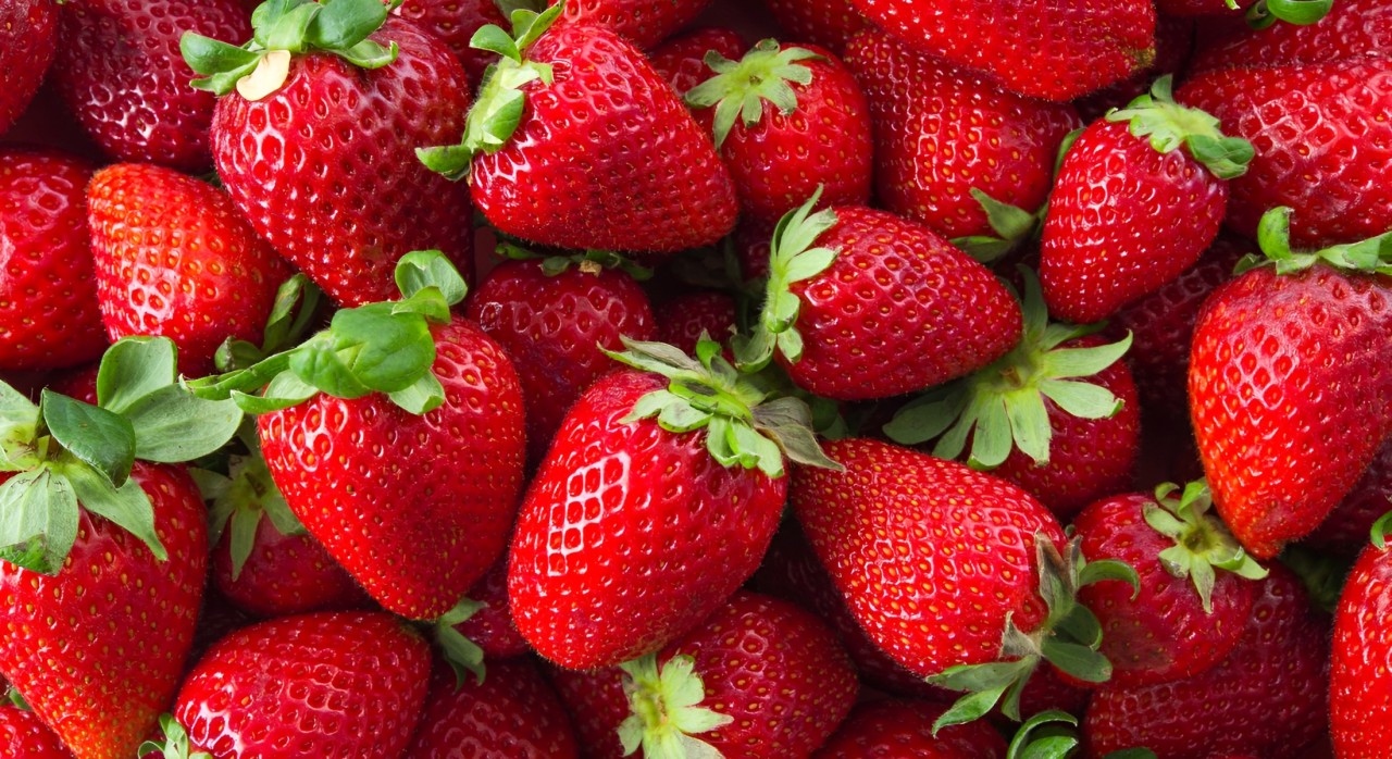 8 alimentos ricos em fibras e antioxidantes para adicionar na sua dieta