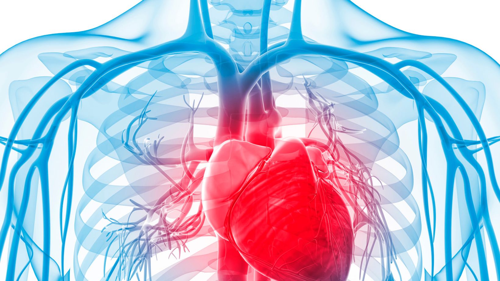 Cuidados com o sistema vascular no inverno