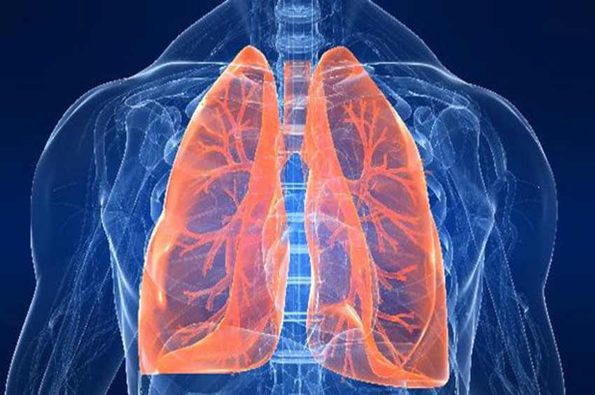 Artigo: Insuficiência respiratória e suas causas em tempos de pandemia