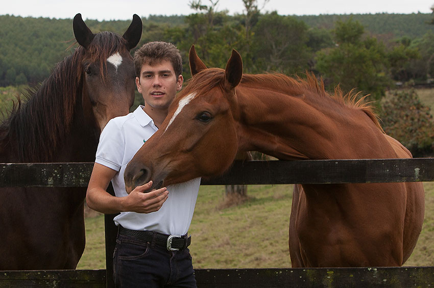 Nutrição e Esporte: Hipismo Adestramento