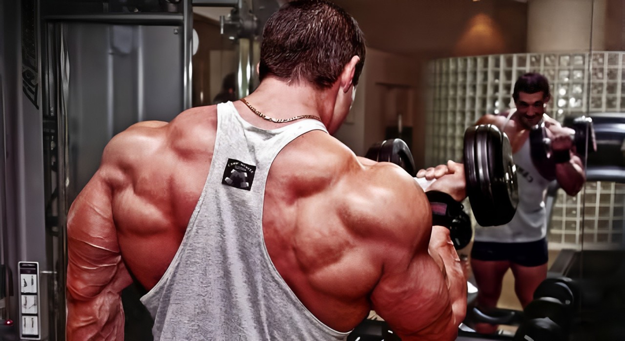 Artigo - O fenômeno de supercompensação metabólica no treinamento resistido de musculação e em medicina do esporte 