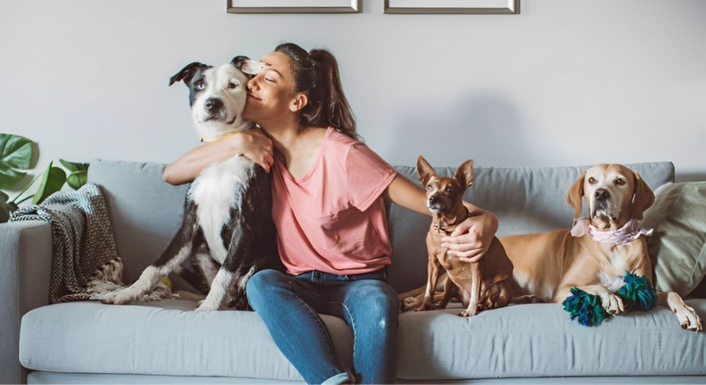 5 dicas para evitar doenças gastrointestinais em pets