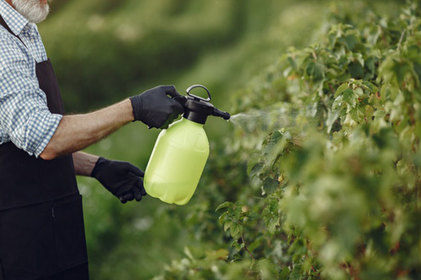 Como a não fiscalização dos agrotóxicos pode afetar a saúde?