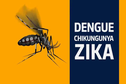 Aedes Aegypti: O inimigo a ser combatido 