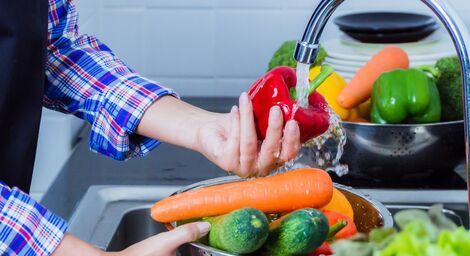 Segurança dos alimentos: saiba como cuidar das refeições e prevenir de doenças