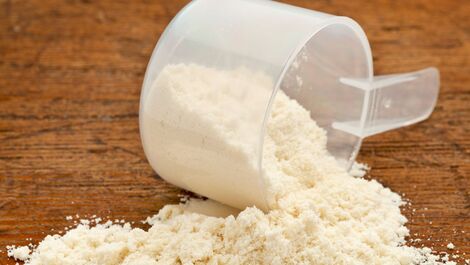 Albumina: os benefícios da proteína para o corpo e a saúde 