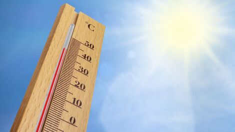 Temperaturas elevadas no Brasil oferecem riscos à saúde; confira 7 dicas para evitar problemas no calor