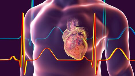 Dia do coração: Cardiologista dá dicas para prevenir doenças cardíacas, confira