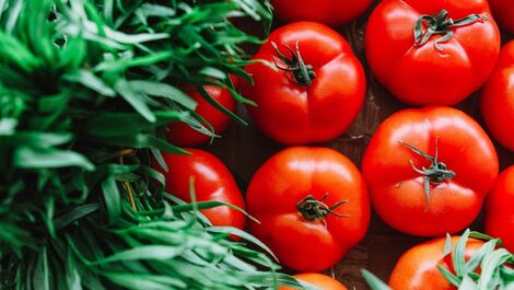 Qual a importância de inserir o tomate na dieta das crianças?