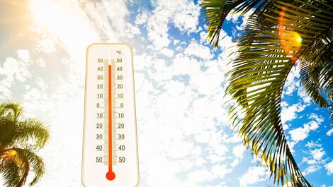Ondas de calor e baixa umidade elevam riscos de problemas respiratórios; saiba o que fazer