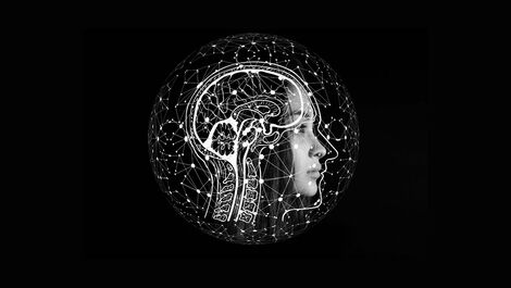 Artigo - Aspectos neurobioquímicos dos sentimentos no cérebro humano