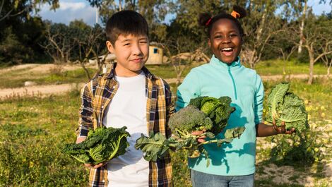 Nutrindo a mente: como a alimentação influencia a saúde mental