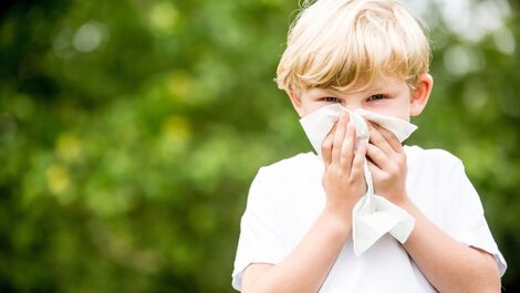 Doenças de verão: confira as mais comuns e como se prevenir