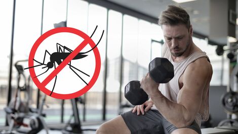 Artigo - Doença dengue versus prática de exercícios físicos