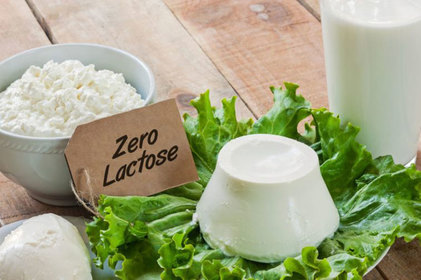Artigo - Desmistificando os produtos zero lactose: Mitos e verdades