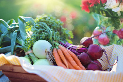 Semana do Dia Mundial do Veganismo: 32% dos brasileiros escolhem opções sem ingrediente de origem animal