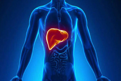 Artigo: Tratamento para esteatose hepática requer atenção multidisciplinar 