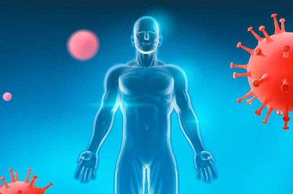 Artigo: Hormônio Muscular X Metabolismo Imunológico