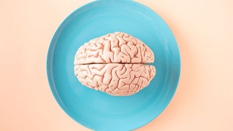 Longevidade cognitiva: como a alimentação influencia a saúde cerebral