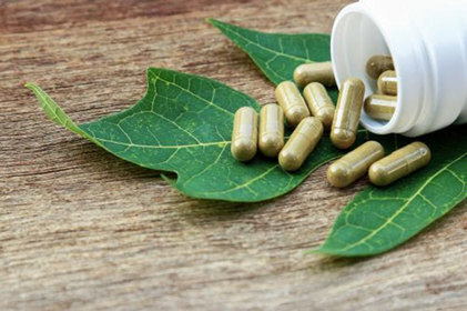 Como aumentar a imunidade? Fitoterápicos podem contribuir 