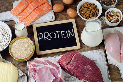 Artigo: Benefícios do consumo de proteínas animal e vegetal 