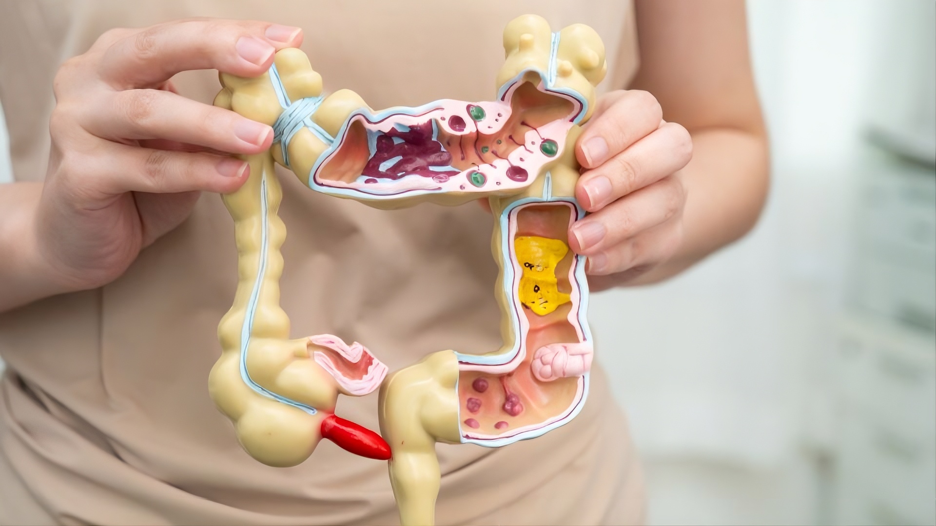 O segundo cérebro: por que a ciência agora aponta o intestino como a chave do bem-estar