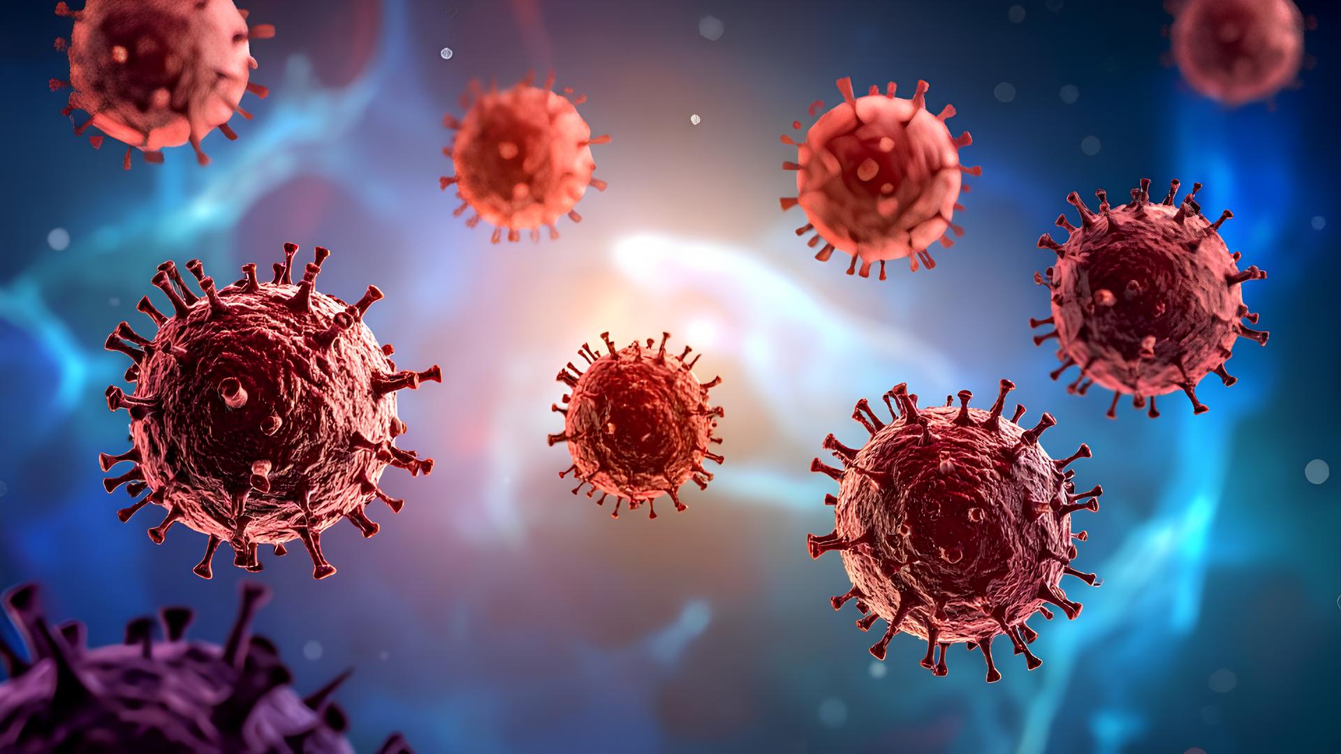 Vírus Nipah: entenda os riscos do novo vírus ao cérebro