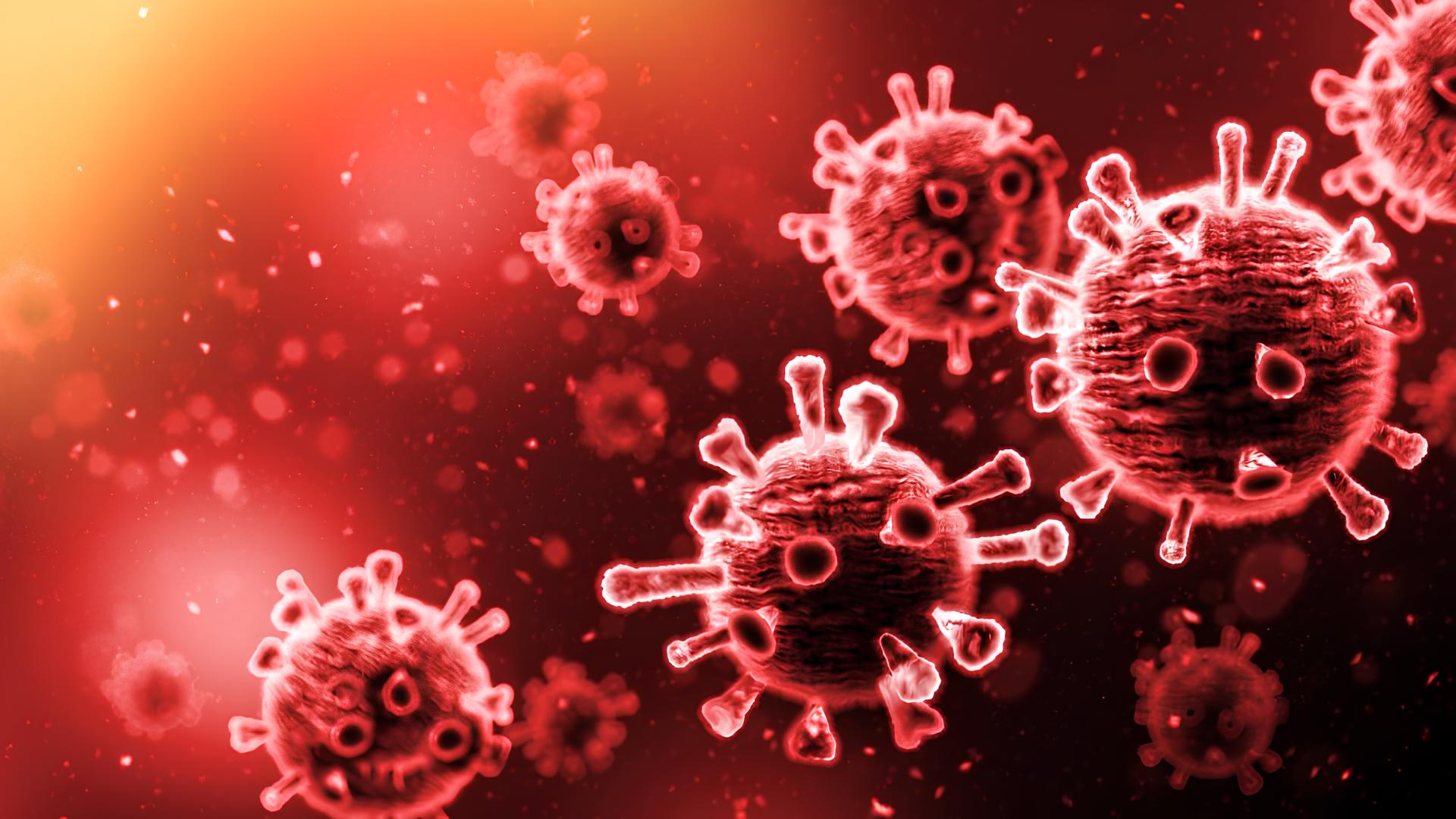 Vírus Nipah: Saiba como ele também pode afetar a saúde do coração