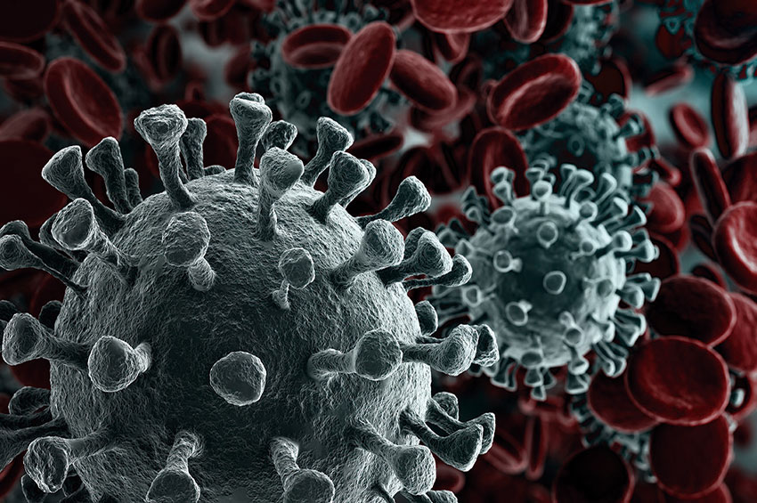 Veja 5 dicas para aumentar a imunidade neste período de pandemia 